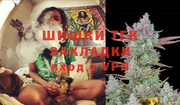 марки lsd Гусиноозёрск