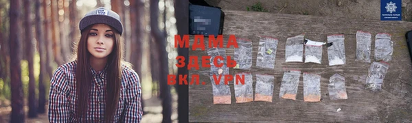 хмурый Гусев