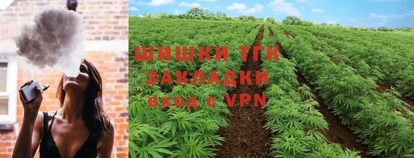 хмурый Гусев