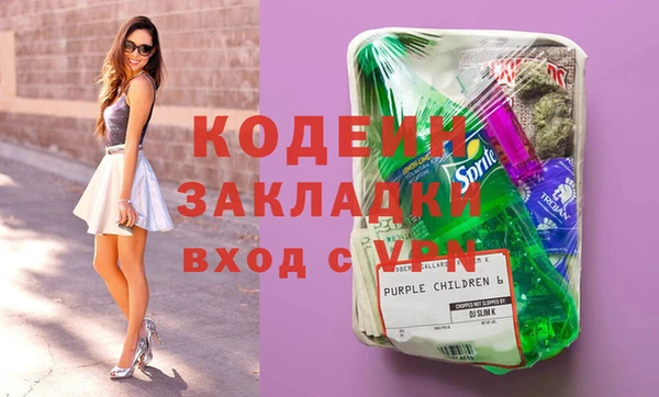 хмурый Гусев