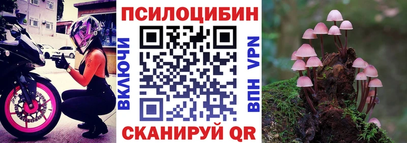 OMG как зайти  Чехов  Галлюциногенные грибы ЛСД  как найти закладки 