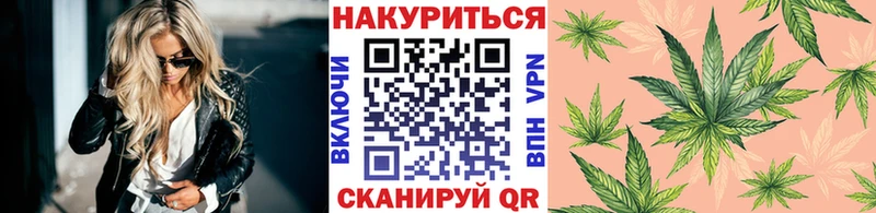 мега как войти  Чехов  Конопля гибрид 